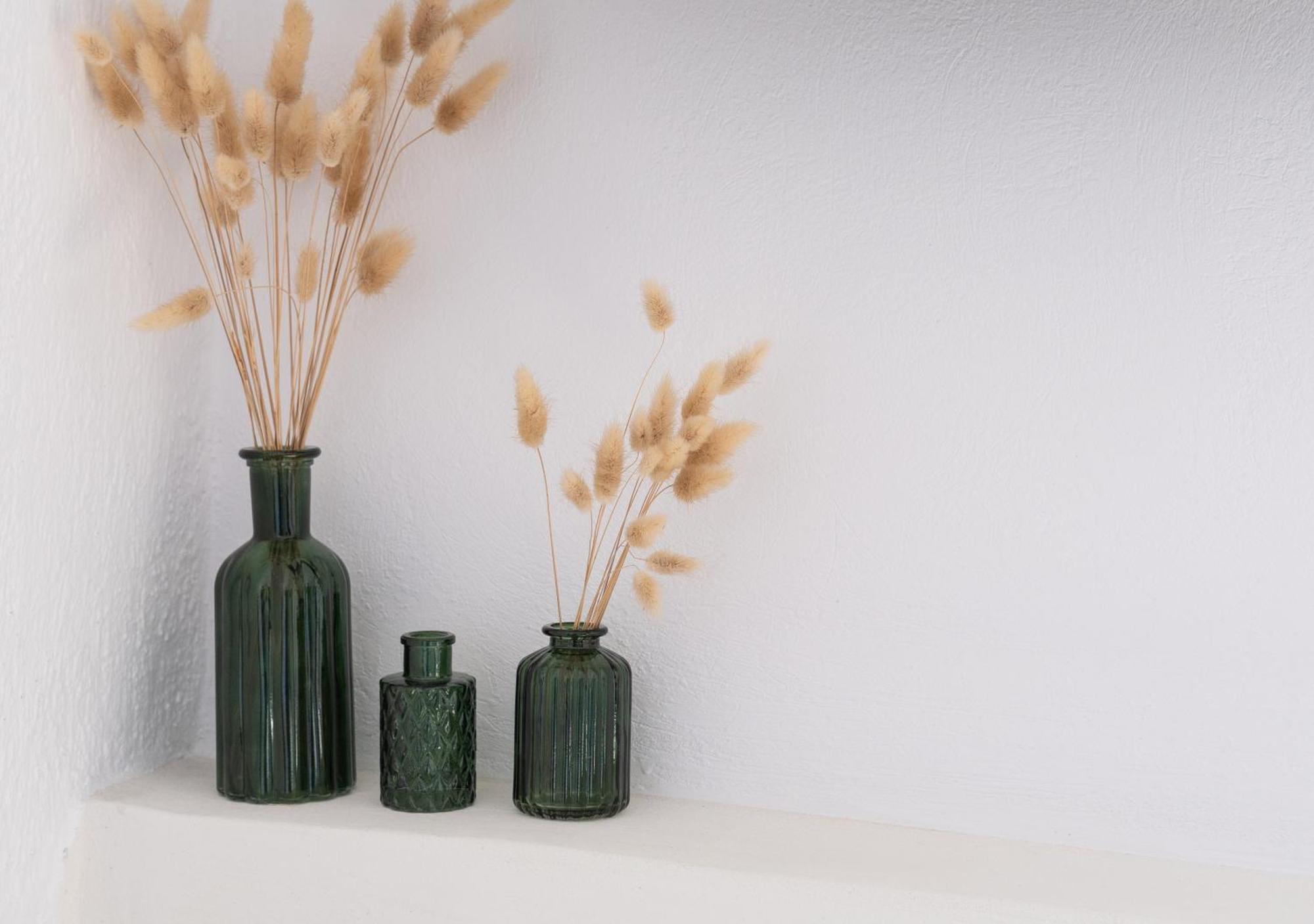 The Botanist Guesthouse スコペロス エクステリア 写真