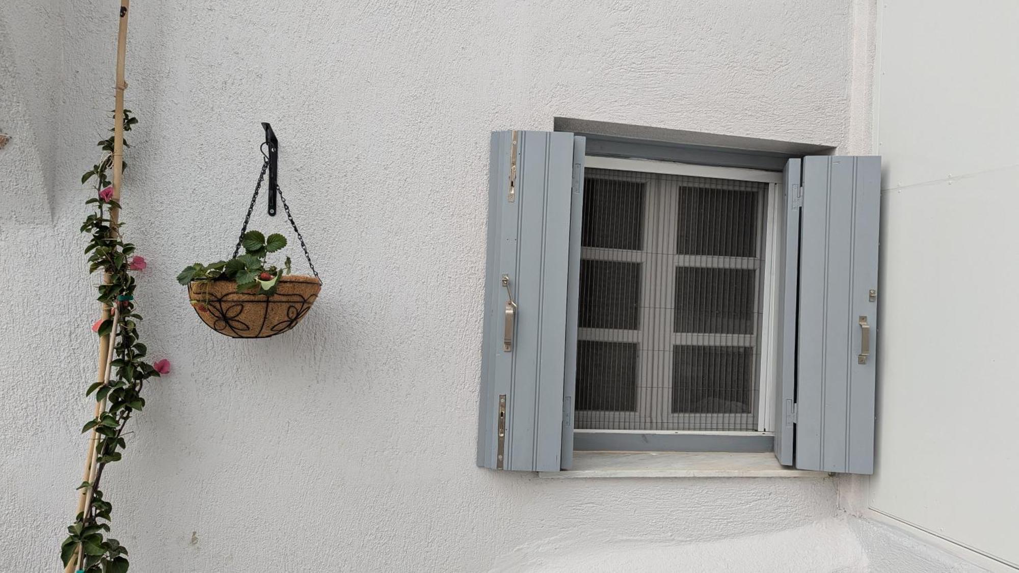 The Botanist Guesthouse スコペロス エクステリア 写真