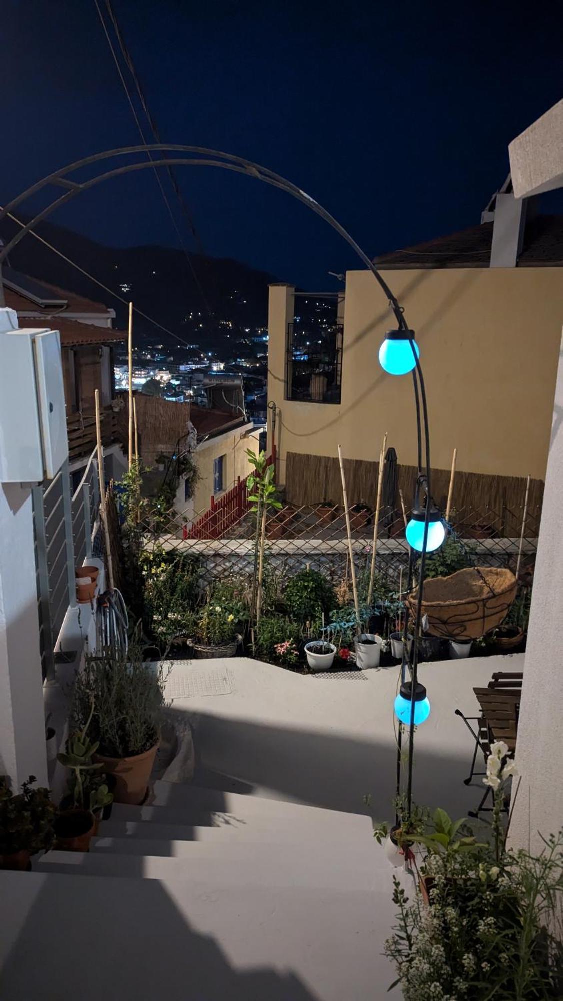 The Botanist Guesthouse スコペロス エクステリア 写真