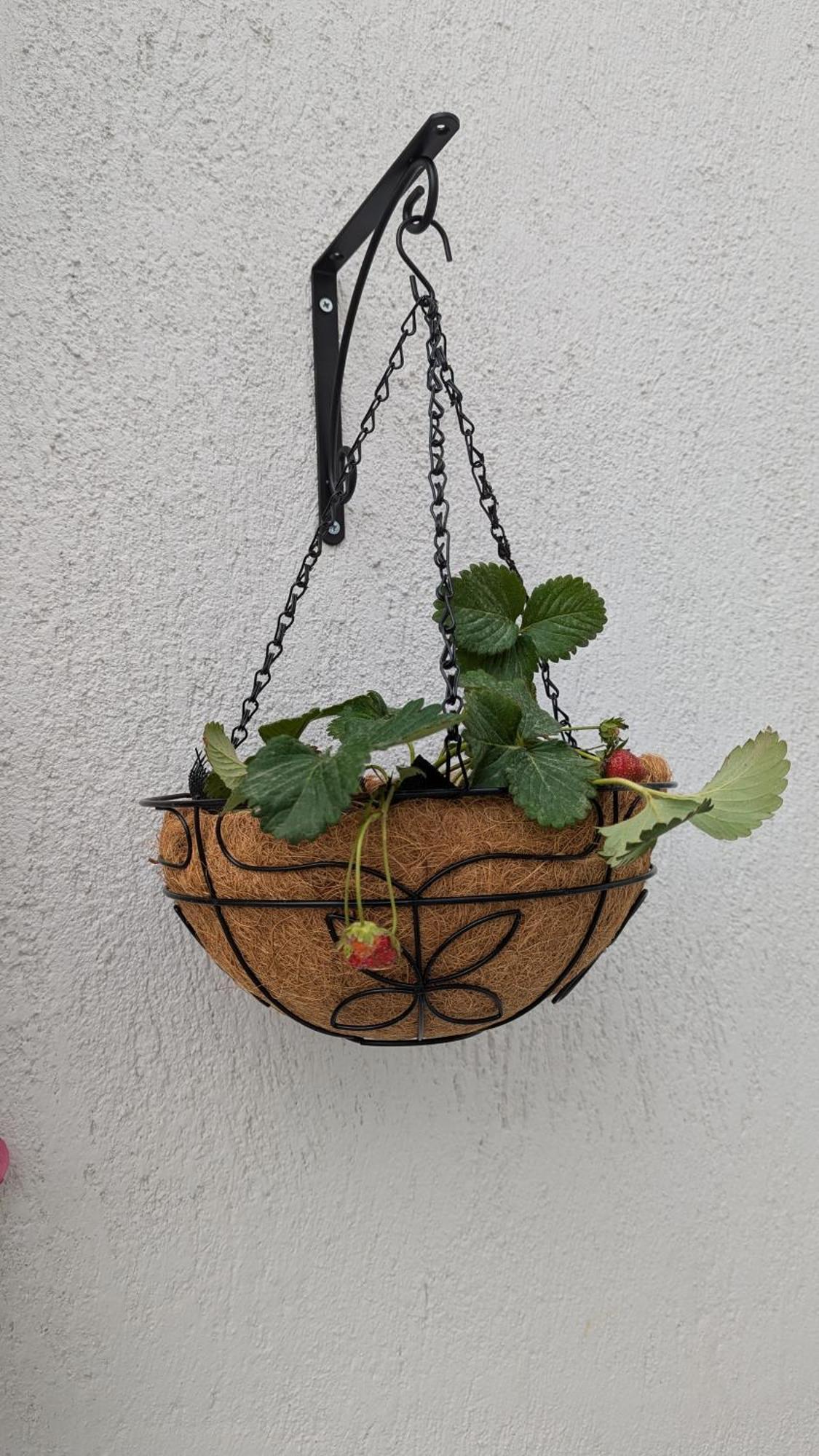 The Botanist Guesthouse スコペロス エクステリア 写真