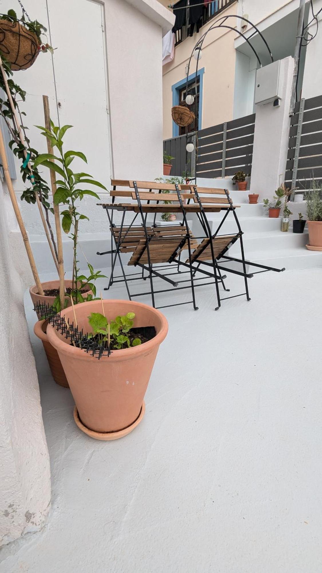 The Botanist Guesthouse スコペロス エクステリア 写真